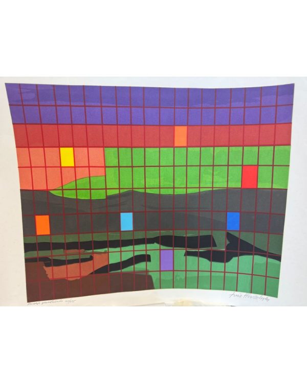 Obra 14 - Serigrafía Paisaje Geometrizado